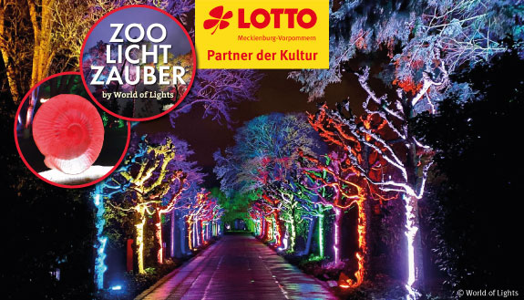 Die Parkanlagen im Zoo Rostock präsentieren eine faszinierende Welt aus Licht und Farben beim ZooLichtZauber.