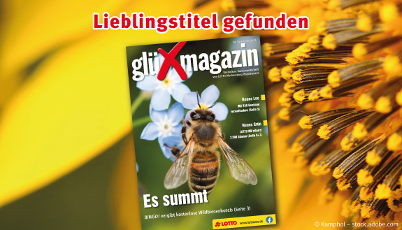 Lieblingstitel gefunden - Ausgabe 14 des glüXmagazins 2024 mit einer auf einer Blüte sitzenden Biene, im Hintergrund sind Pollen zu sehen